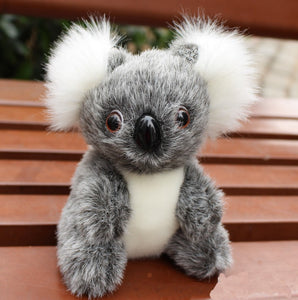 Super Cute Small Koala Bear