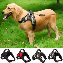 Load image into Gallery viewer, PETCARE™ : Heavy Duty Dog Harness