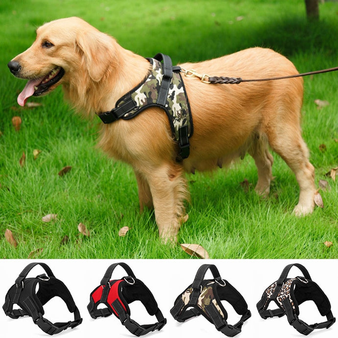 PETCARE™ : Heavy Duty Dog Harness