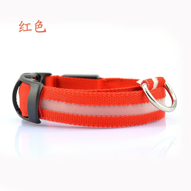 PET-SAFETY™ Night Safety Dog Collar